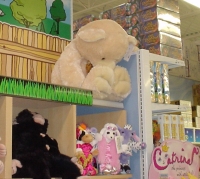 Teddy Bear at Toys R Us